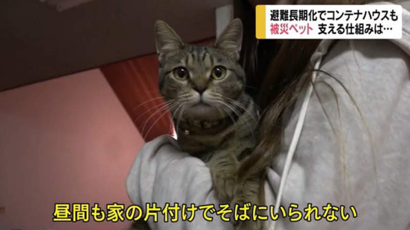 圖片19 圖片19