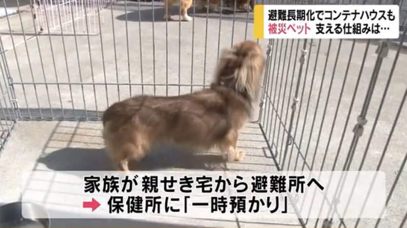 圖片17 圖片17
