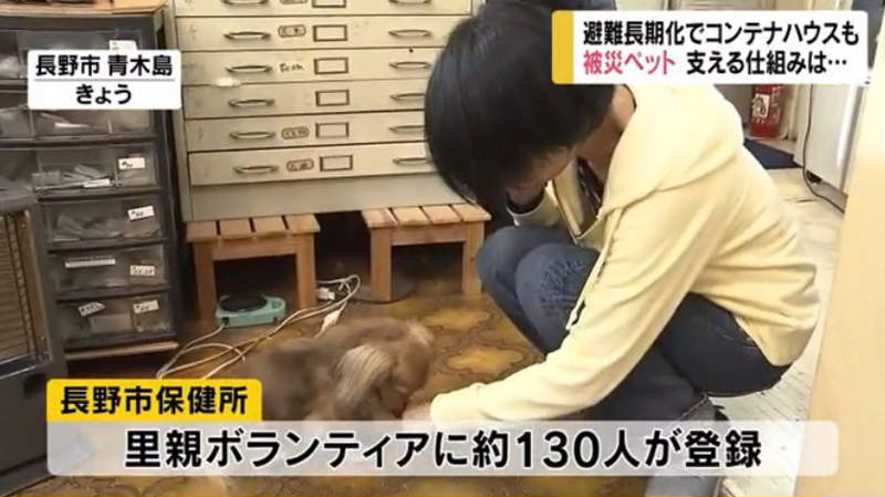 圖片18 圖片18