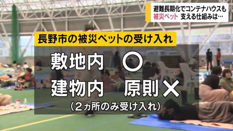 圖片4 圖片4