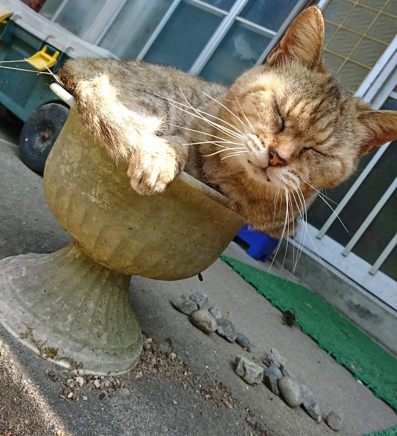 圖片6 圖片6