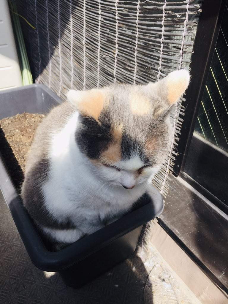 圖片7 圖片7