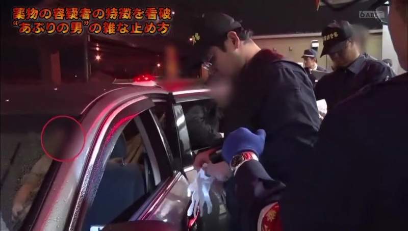 圖片11 圖片11