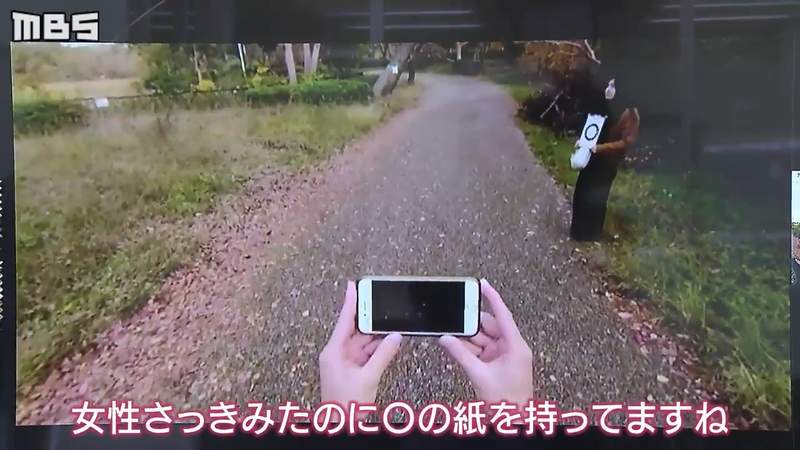 圖片14 圖片14