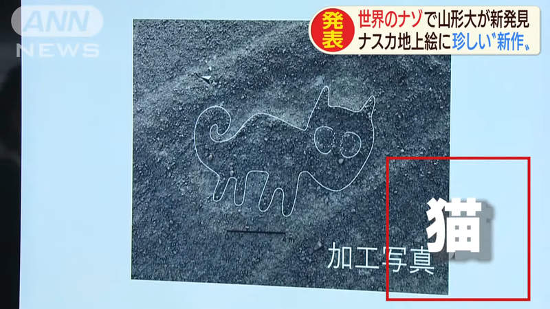 圖片4 圖片4