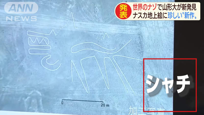 圖片5 圖片5