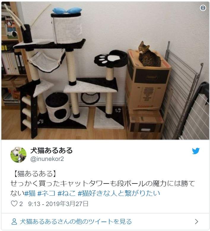 圖片4 圖片4