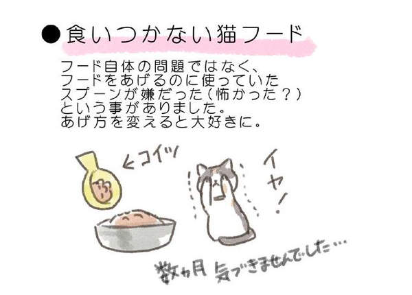 圖片8 圖片8