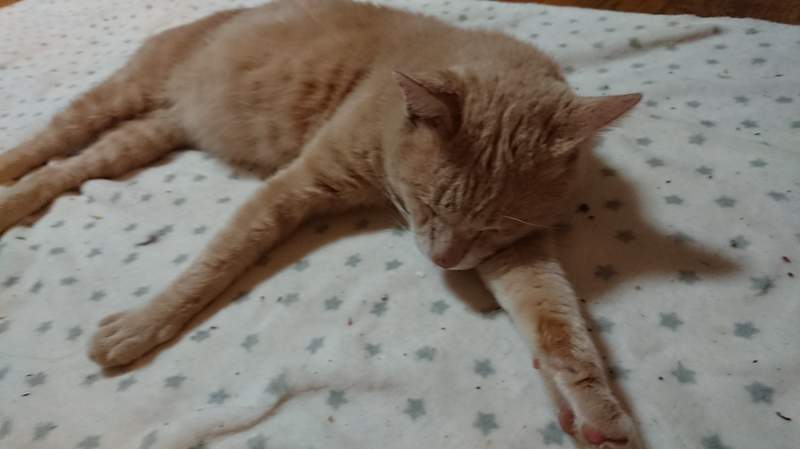圖片4 圖片4