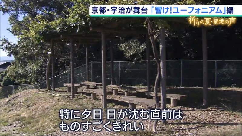圖片23 圖片23