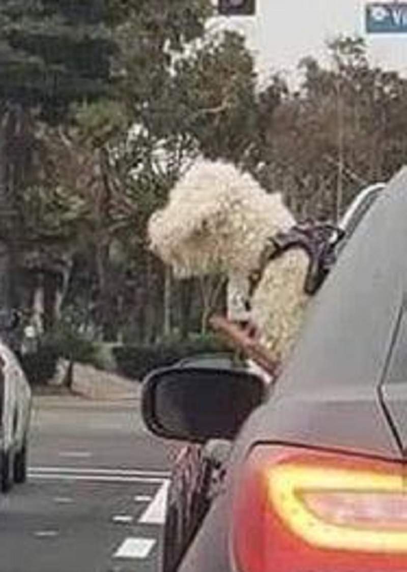 圖片4 圖片4