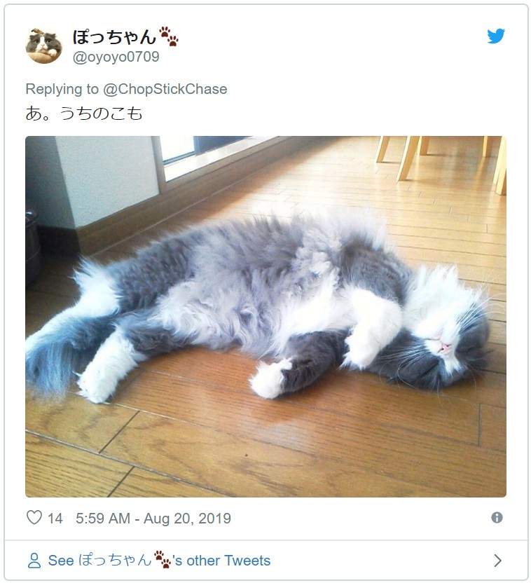 圖片5 圖片5