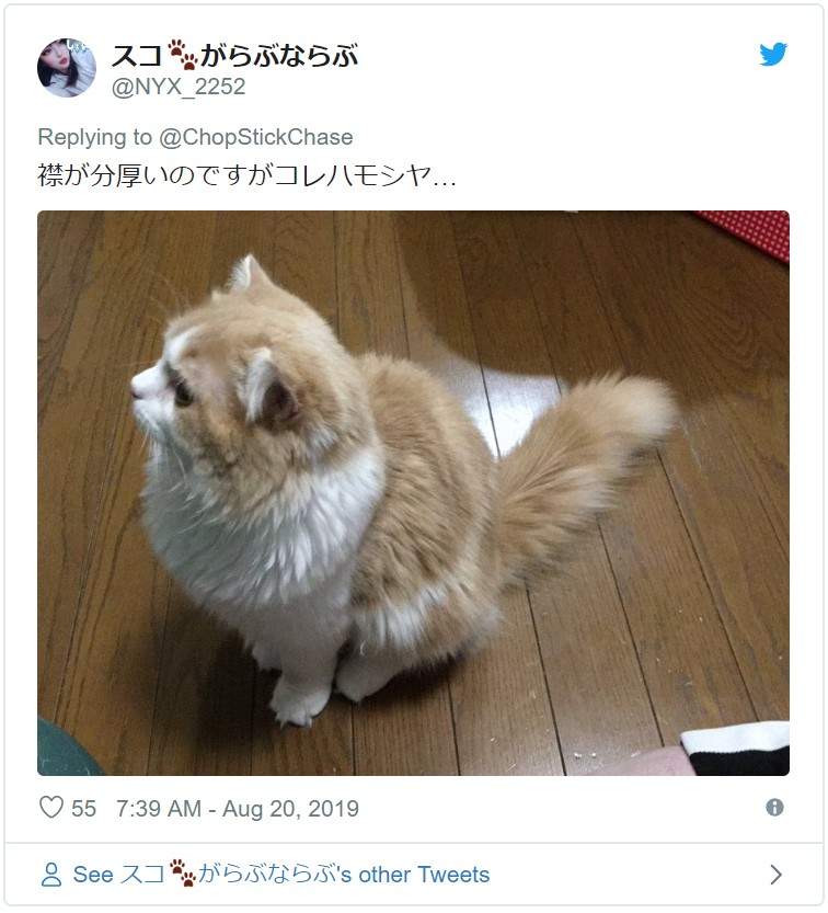 圖片6 圖片6