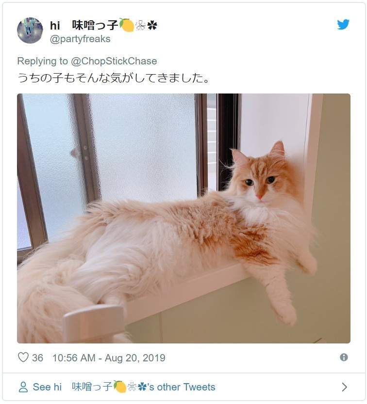 圖片7 圖片7