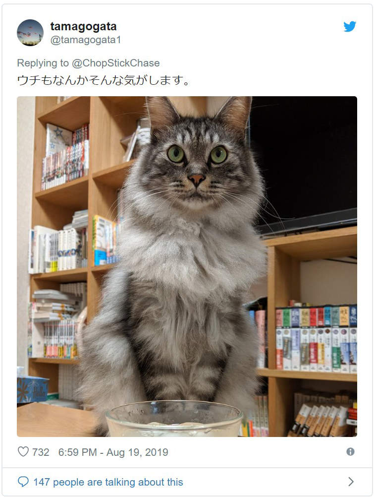圖片4 圖片4