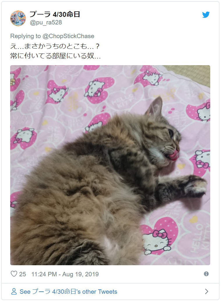 圖片8 圖片8