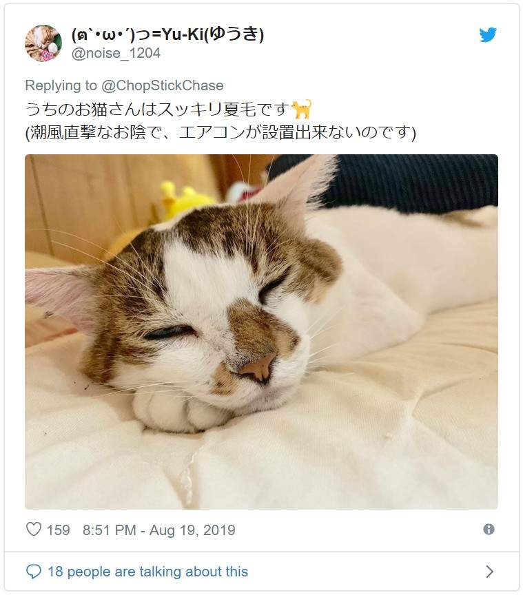 圖片9 圖片9