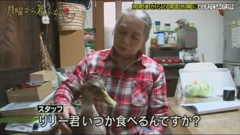 圖片10 圖片10