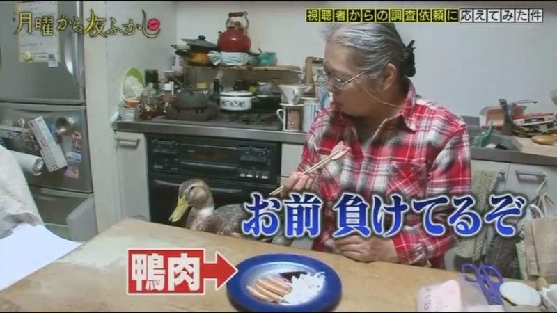 圖片12 圖片12