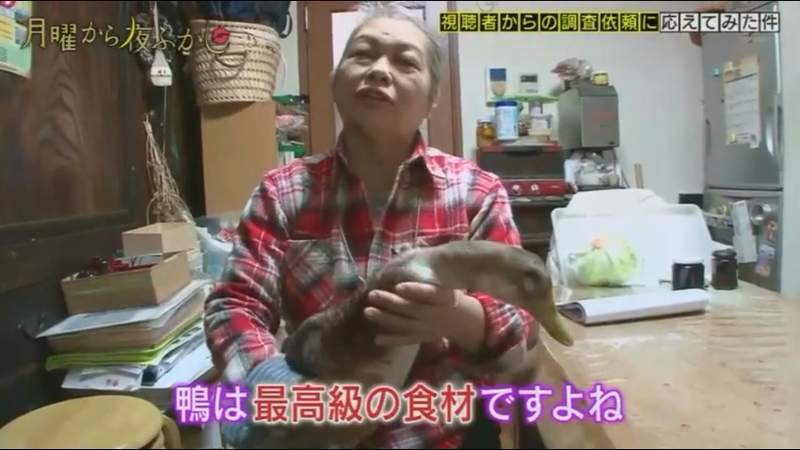 圖片4 圖片4