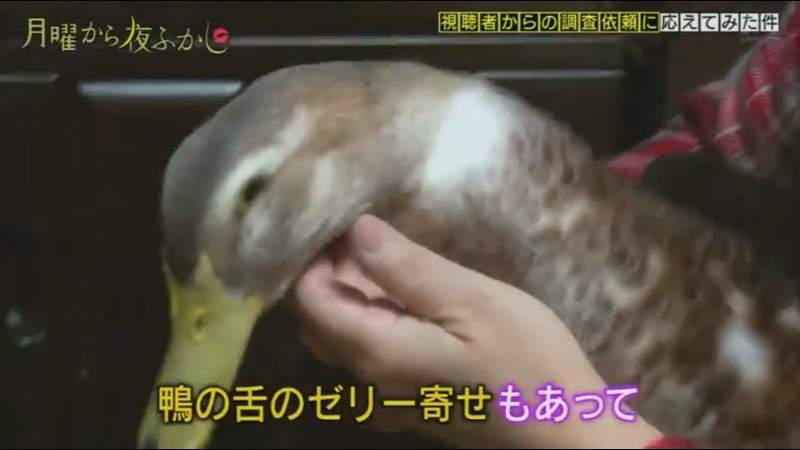 圖片5 圖片5
