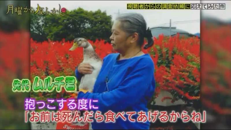 圖片8 圖片8