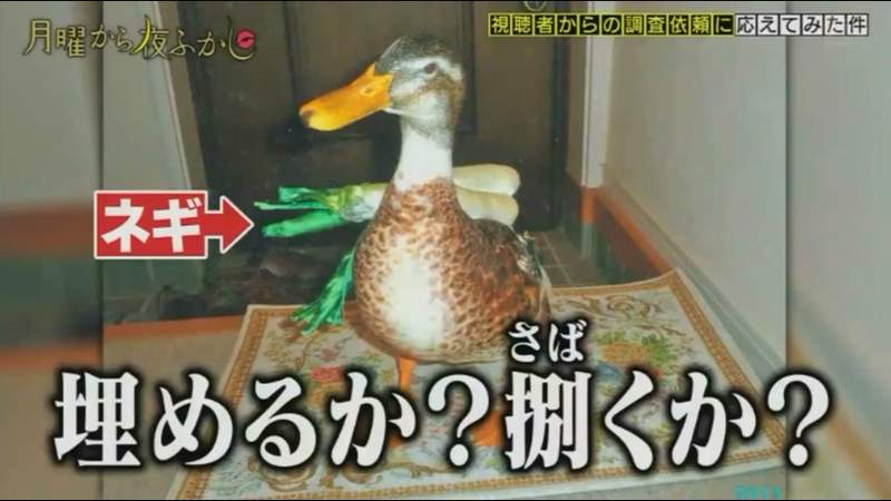 圖片9 圖片9