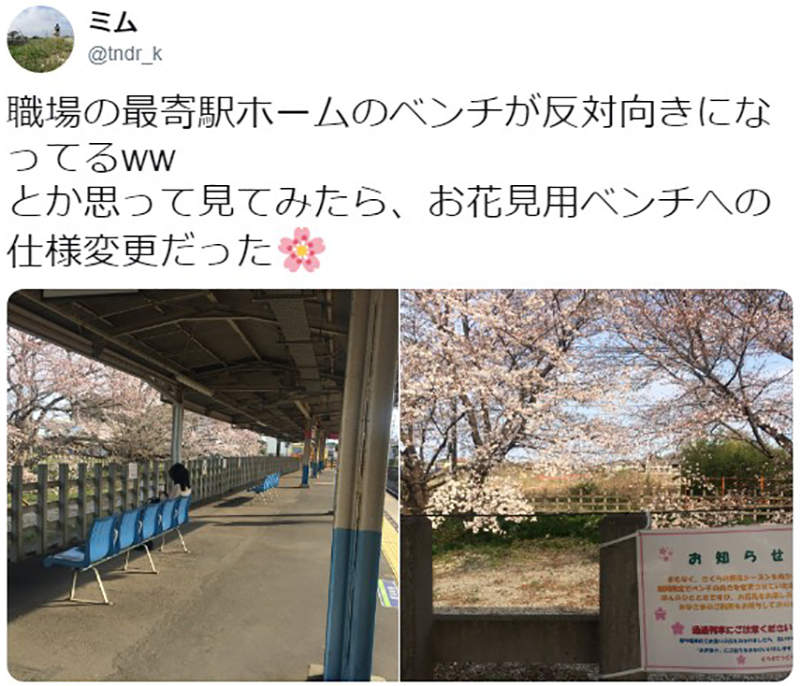圖片8 圖片8