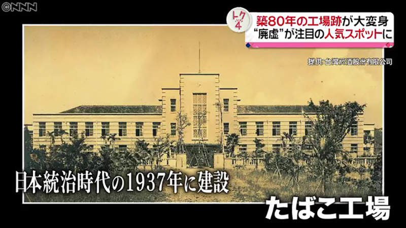 圖片11 圖片11