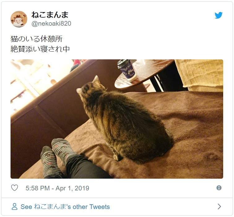 圖片5 圖片5
