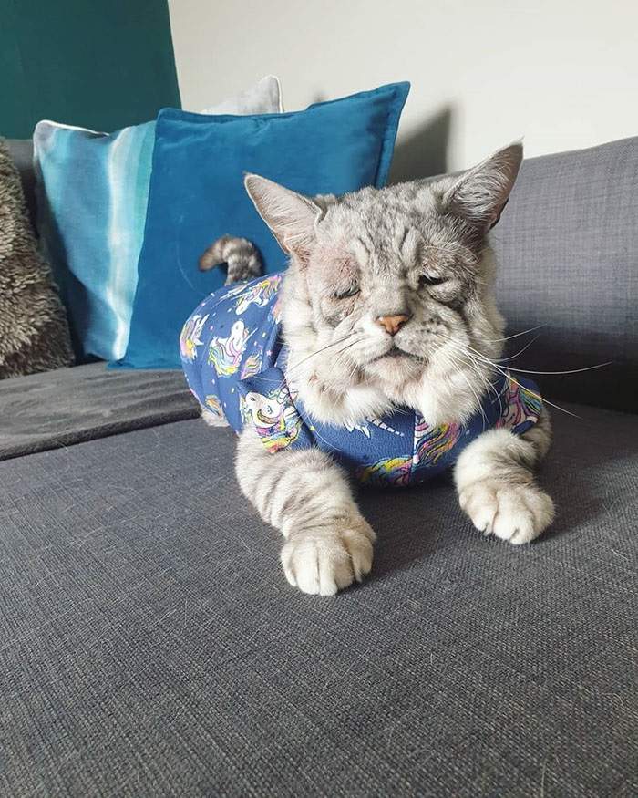圖片8 圖片8