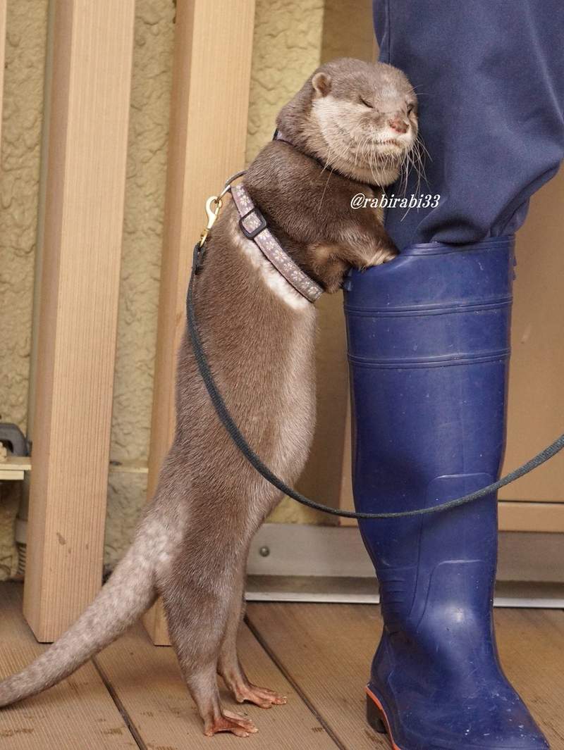圖片4 圖片4