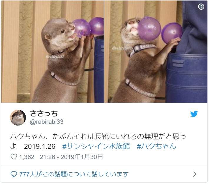 圖片11 圖片11