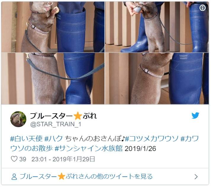 圖片7 圖片7