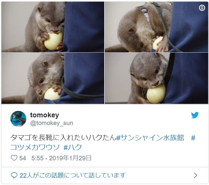 圖片13 圖片13