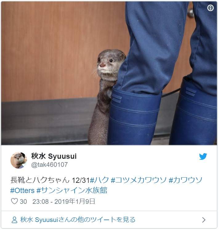 圖片17 圖片17