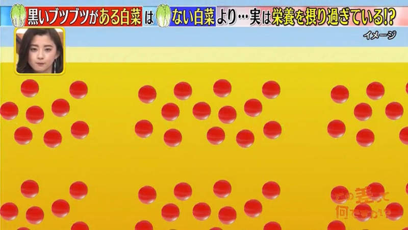 圖片11 圖片11