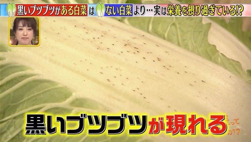 圖片13 圖片13