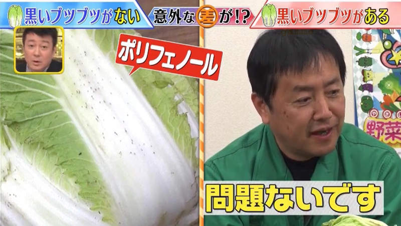 圖片14 圖片14