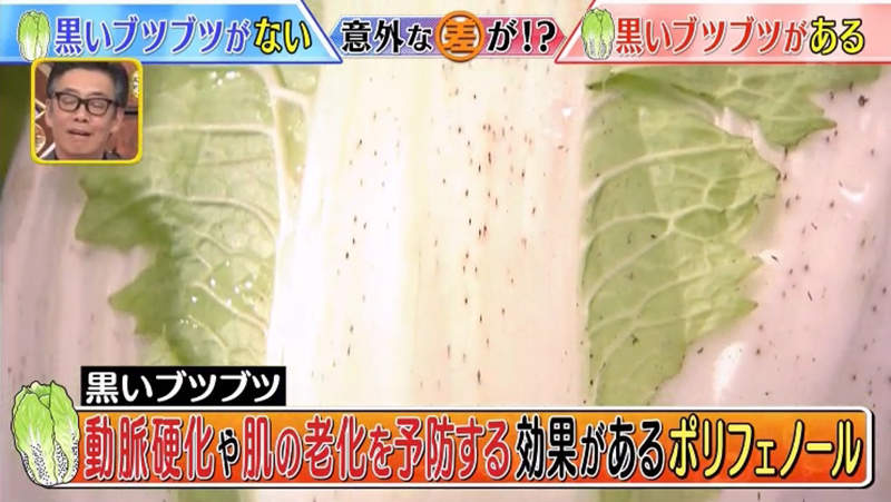圖片9 圖片9