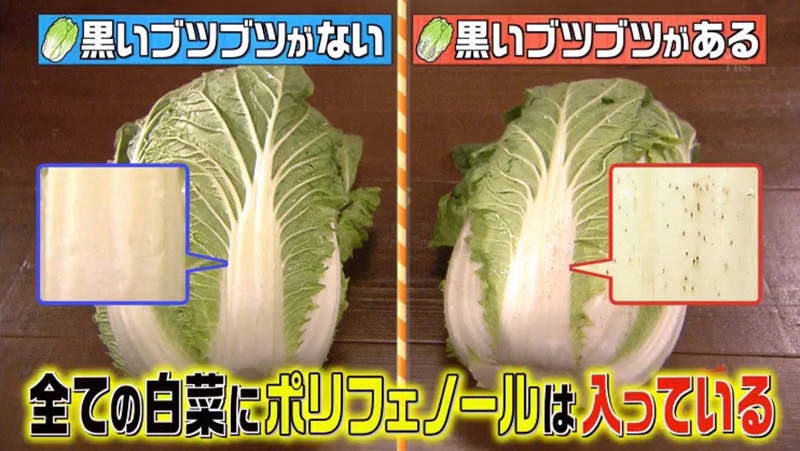 圖片8 圖片8
