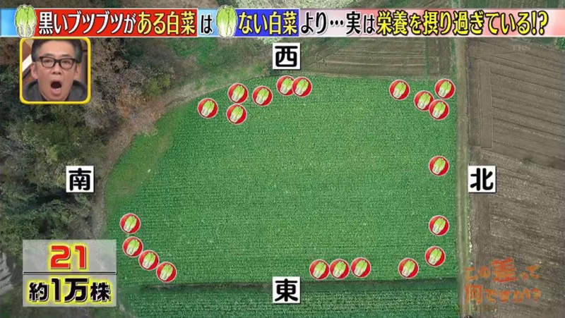 圖片15 圖片15