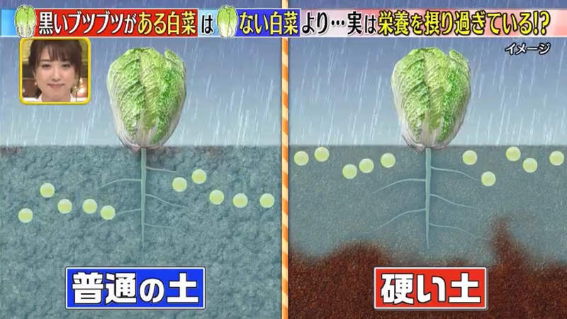 圖片16 圖片16