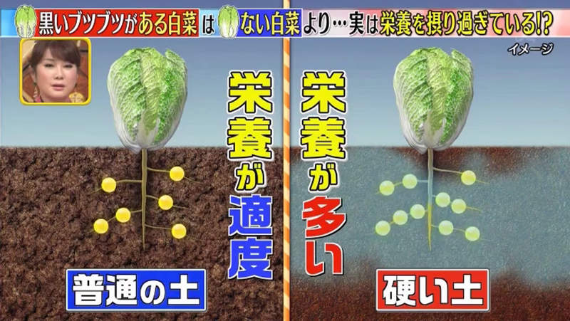 圖片17 圖片17