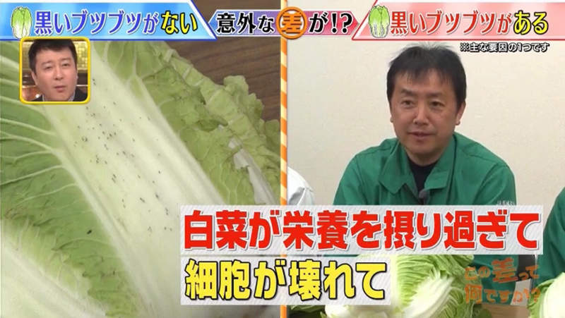 圖片6 圖片6