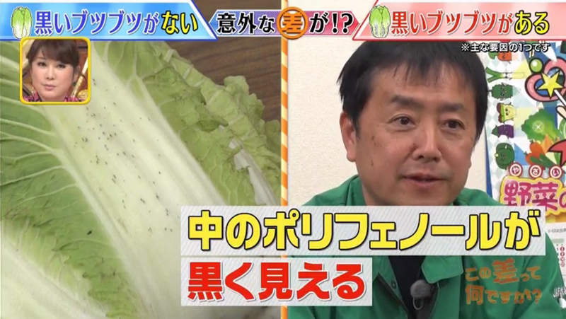 圖片7 圖片7