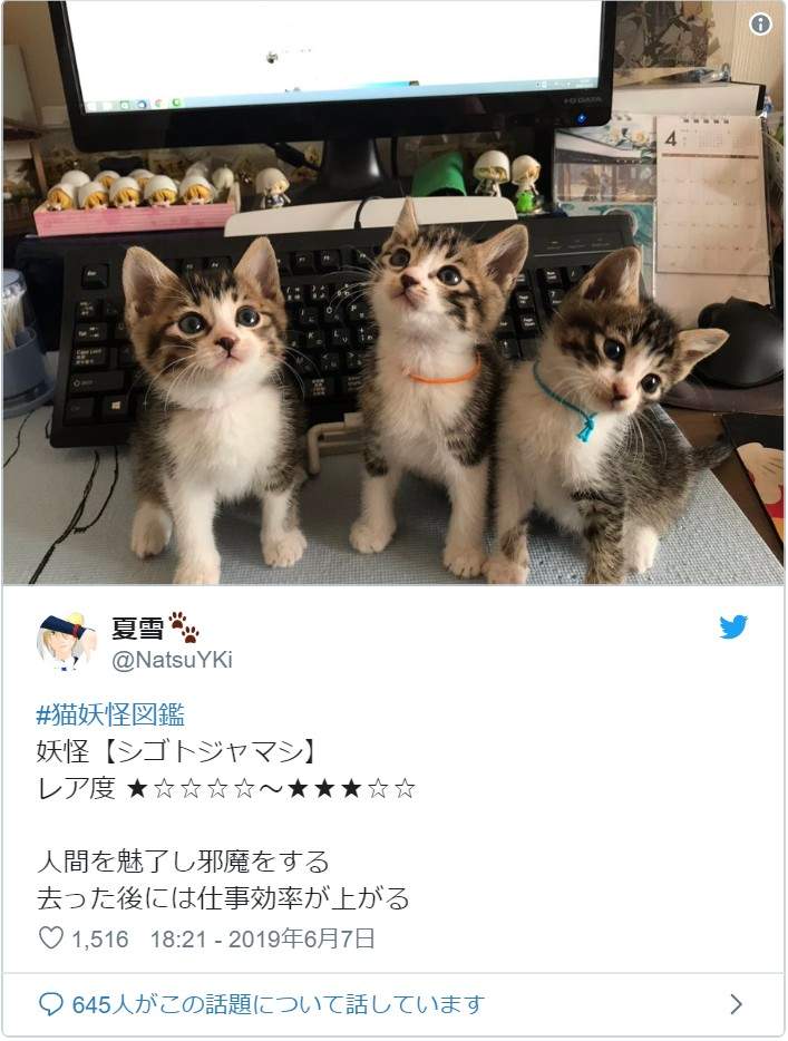 圖片4 圖片4