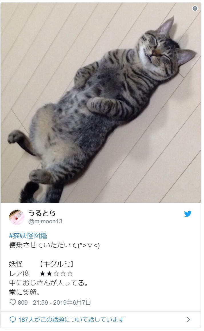 圖片5 圖片5