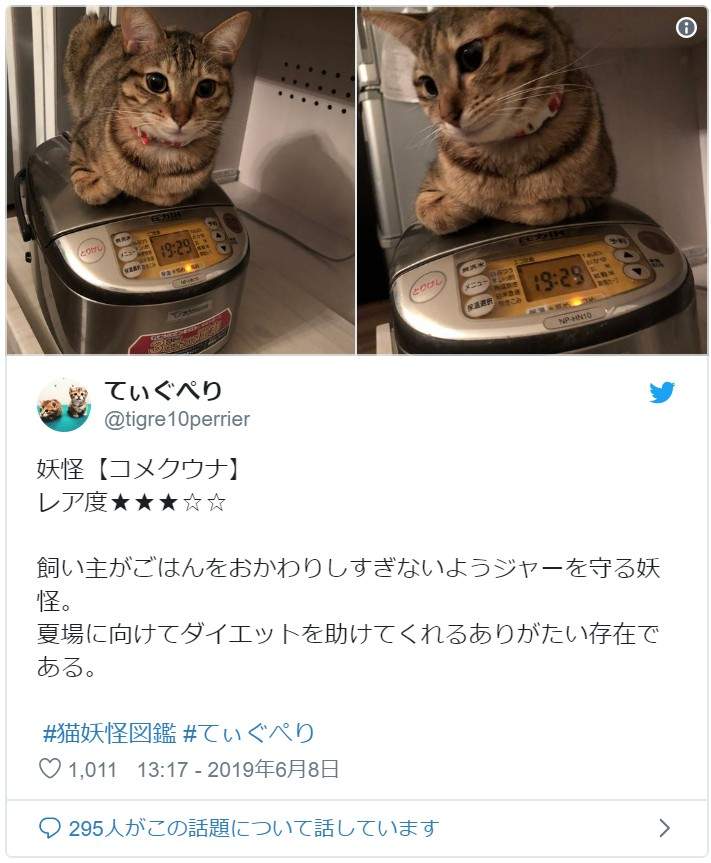 圖片6 圖片6