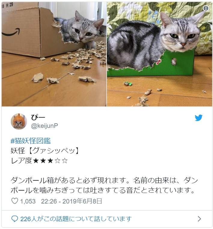 圖片7 圖片7
